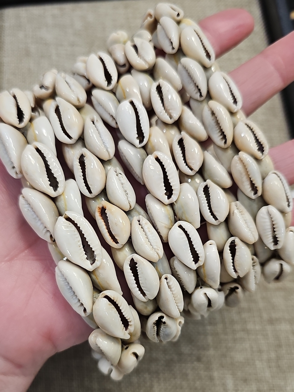Cowrie Shell Set - Cream Shells - Picture 3 of 3